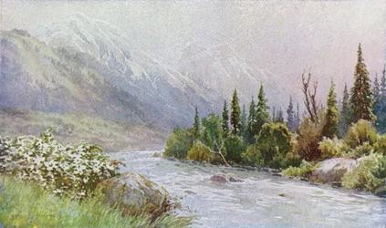 Early Morning near Pahlgam, Lidar Valley
